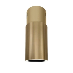 Máy hút mùi K382G gắn trần đảo 38cm Monogold